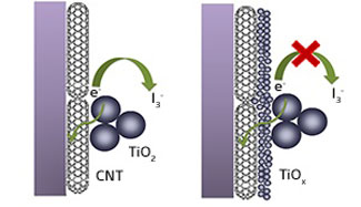 Carbon nanotube electrodes