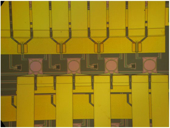 Four channel label extractor with four high-finesse ring resonators integrated with InGaAs photodetectors