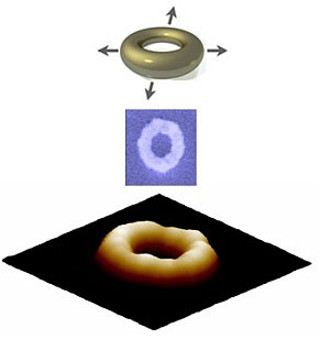 topography of a gold nanoring