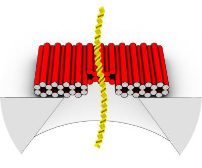 Solid-State Nanopore with DNA Origami Gatekeeper
