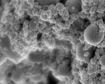 Hydroxyapatite nanoparticles are incorporated into multilayer coatings