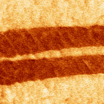 ferroelectric domains (seen as red stripes) in the simplest known amino acid - glycine