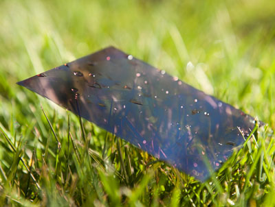Completely Plastic Solar Cell