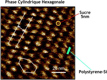 Atomic force microscopy image of a glycopolymer nano-organized into sugar cylinders in a silicon containing polystyrene matrix