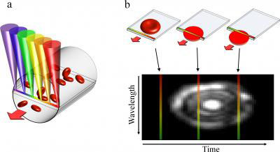 Spectrally Encoded Confocal Microscopy