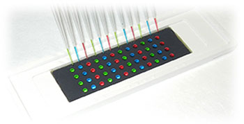 droplet microarray