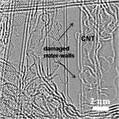 Microscopy Image of Carbon Nanotubes