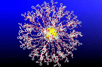 Gold nanoparticles bristling with Taxol