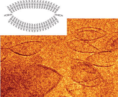 lens-shaped nanocontainer
