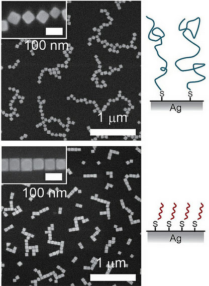 silver nanocubes self-assemble into larger-scale structures