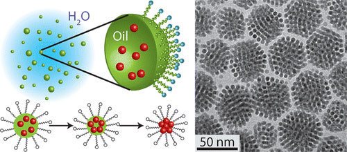 As oil droplets (green) evaporate, nanoparticles (red) assemble in an orderly manner