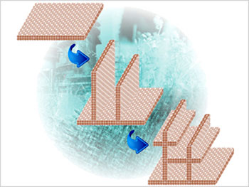 ultra-thin zeolite nanosheets