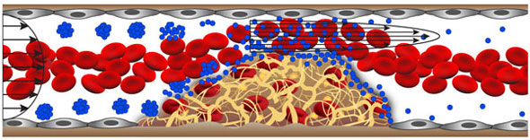 Shear-Activated, Drug-Delivering Nanotherapeutic