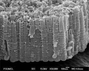 A cross sectional field emission scanning electron microscope (FESEM) picture of the nanotube array