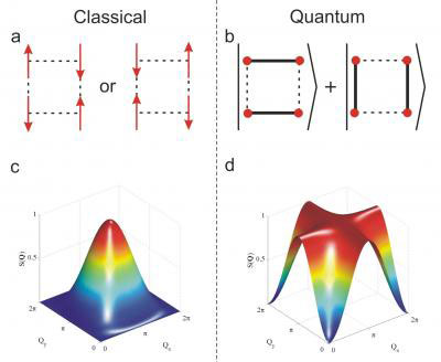Diagnosing Quantum Entanglement Using Neutrons