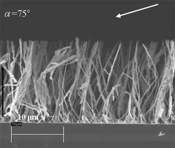 Nanoblades side view