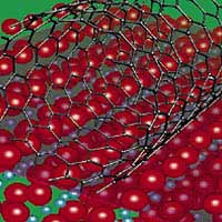 Single-walled carbon nanotubes will grow along certain crystalline orientations on sapphire