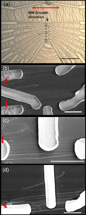 Polymersome nanoreactor
