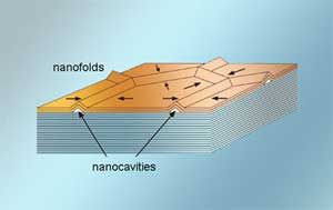 Hexagonal networks of carbon nanotubes