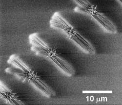 Nanospikes