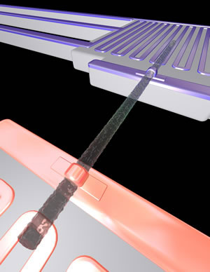 Rough silicon nanowires