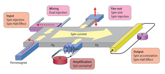 Schematic illustration of the quantum spin Hall effect in a QSHI