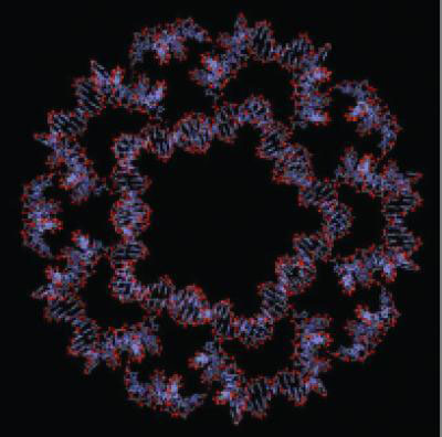 Nano-softball made of DNA