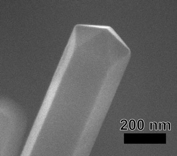 Scanning electron microscope image of copper nanowires grown on a silicon substrate at 250 degrees celsius at high magnification