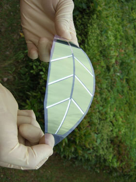 leaf-like solar cell module