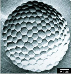 Micrometer-size bubble covered with approximately 50 nm hexagons
