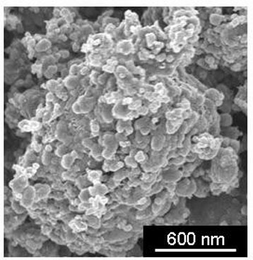 lithium iron phosphate nanoparticles
