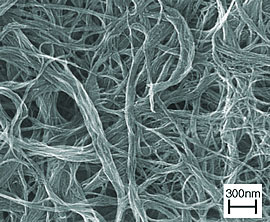 scanning electron microscope image of a single-walled carbon nanotube sheet consisting of randomly entangled bundles of carbon nanotubes