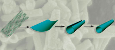 Protein templated nanotubes