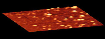 A 3-D visualization of nanobubbles present on a hydrophobic surface