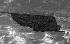 nanosacle smart coatings