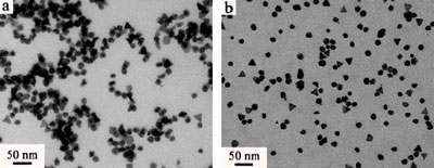 Caught in the act. Transmission electron microscopy images of rhodium-palladium nanoparticles (left) and platinum-palladium particles (right) deposited on a copper grid.