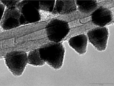 Transmission electron microscope image of CdSe nanoparticles covering a multi-wall carbon nanotube