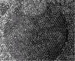 In situ NanoProcesses