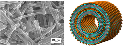 (Left) FE-SEM image of the metal-complex-type organic nanotubes and (Right) their proposed structure. Metal ion is designed as an orange ball, a hydrophilic part of the amphiphile as a light blue ball, and a hydrophobic part of the amphiphile as a gray stick.