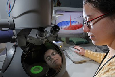 Argonne materials scientist Mihaela Tanase observes a small magnetic disk with a transmission electron microscope