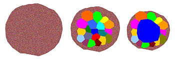 A gas of atoms arranged in a single, flat layer ordinarily has ‘thermal’ behavior (left) in which the atoms act as individual entities