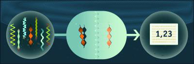 Biosensor principle: The biological receptor element recognises the analyte in a complex sample.