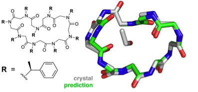Predicted structure of the cyclic nonamer proposed by the theorists