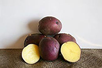 Peter Wilcox potatoes
