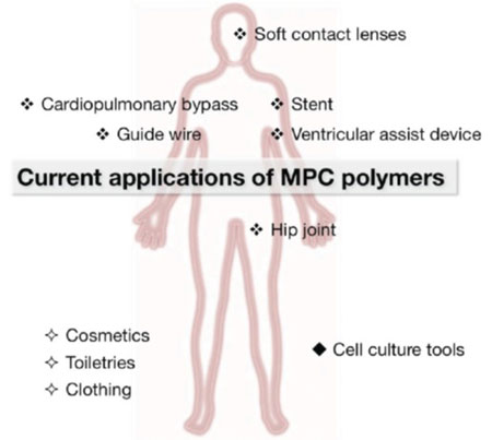 Biomedical and life science applications of MPC polymers