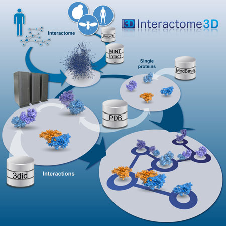 Interactome3D