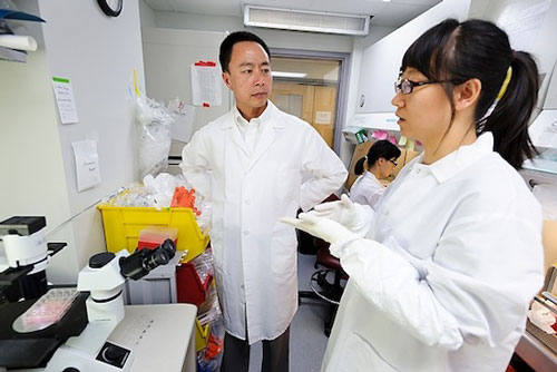 Su-Chun Zhang, professor of neuroscience in the School of Medicine and Public Health, talks with postdoctoral student Lin Yao