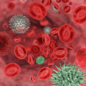 viruses in blood