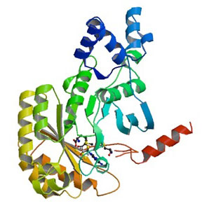 X-ray structure of RImN – an enzyme closely related to Cfr