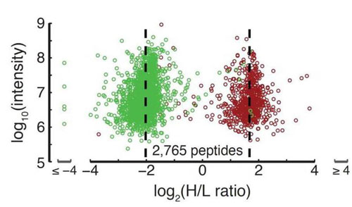 >Mass spectrometry analysis of peptides derived from a co-culture of CTAP-engineered human (red) and mouse cells (green)